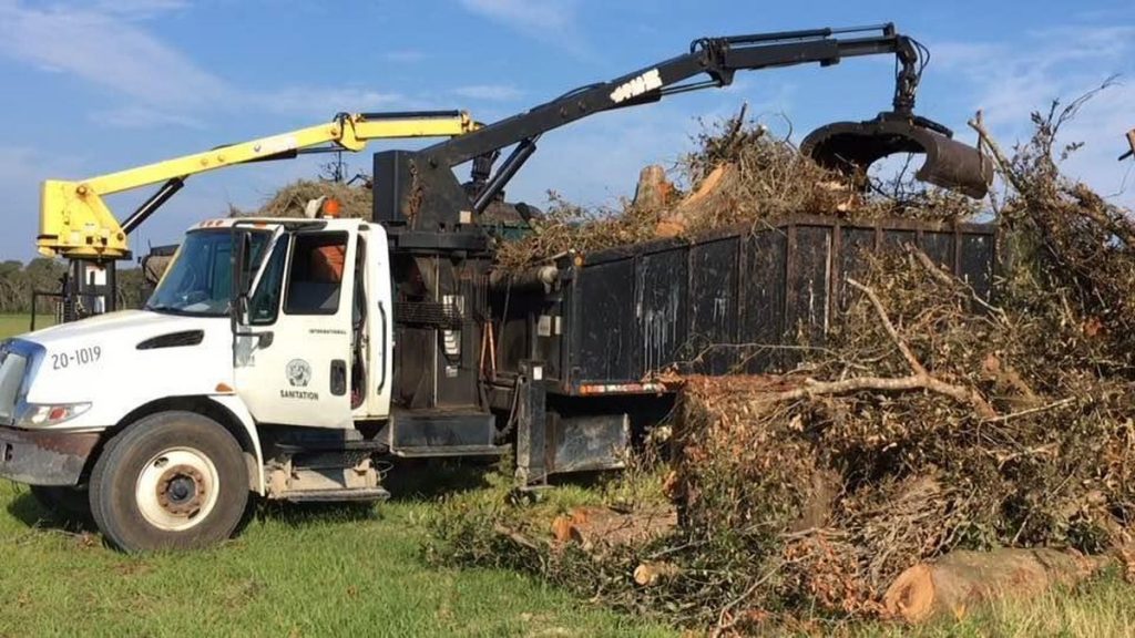 Tree Removal San Antonio