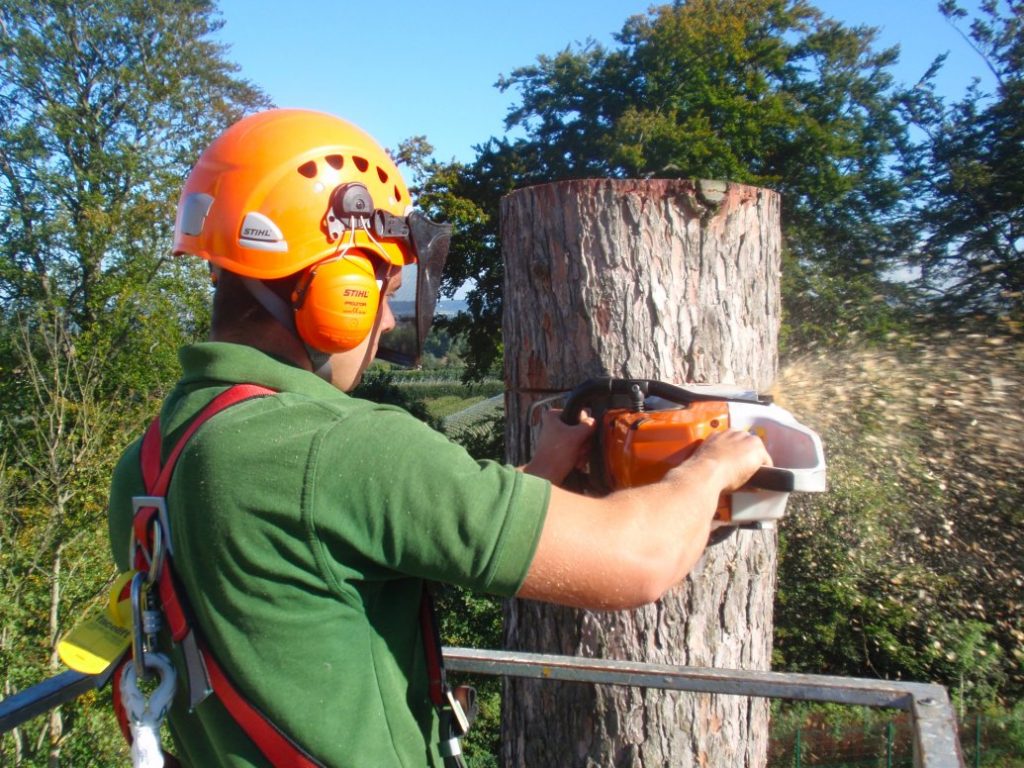 Tree Trimming San Antonio